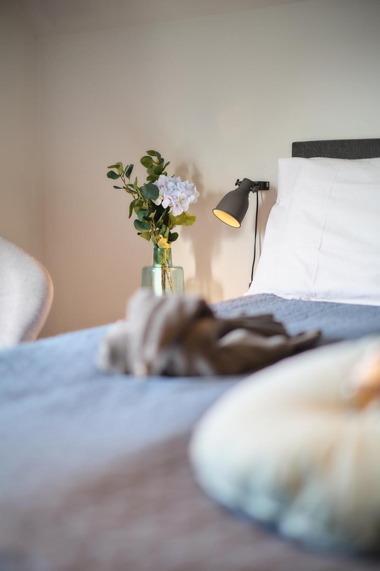 أوستيند Villa Cecha B&B &Wellness المظهر الخارجي الصورة
